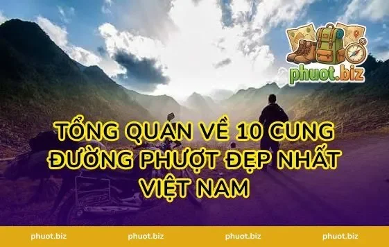 Tổng quan về 10 cung đường phượt đẹp nhất Việt Nam